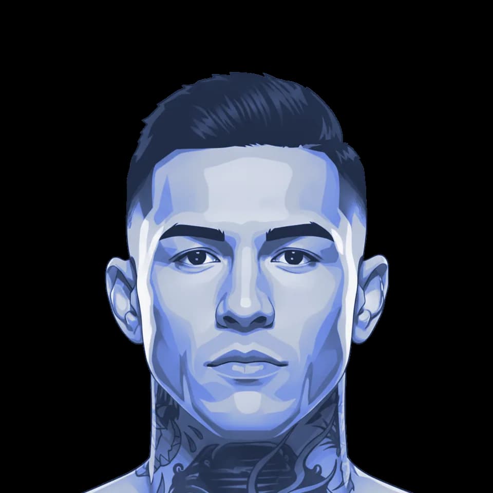 Andre Fili — illustration