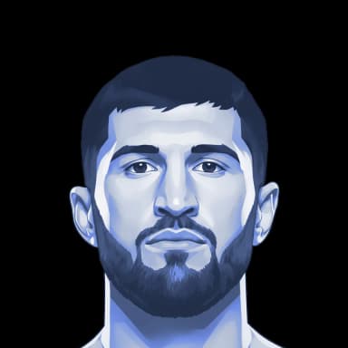 Magomed Ankalaev — illustration