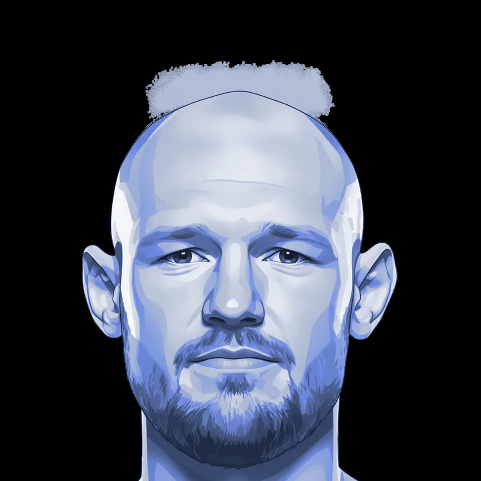 Viacheslav Borshchev — illustration