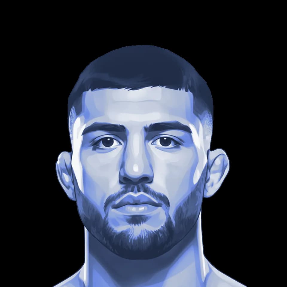 Arman Tsarukyan — illustration
