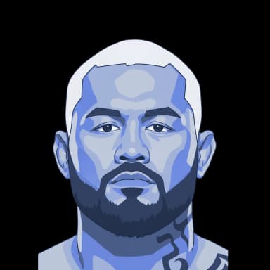 Mark Hunt — illustration