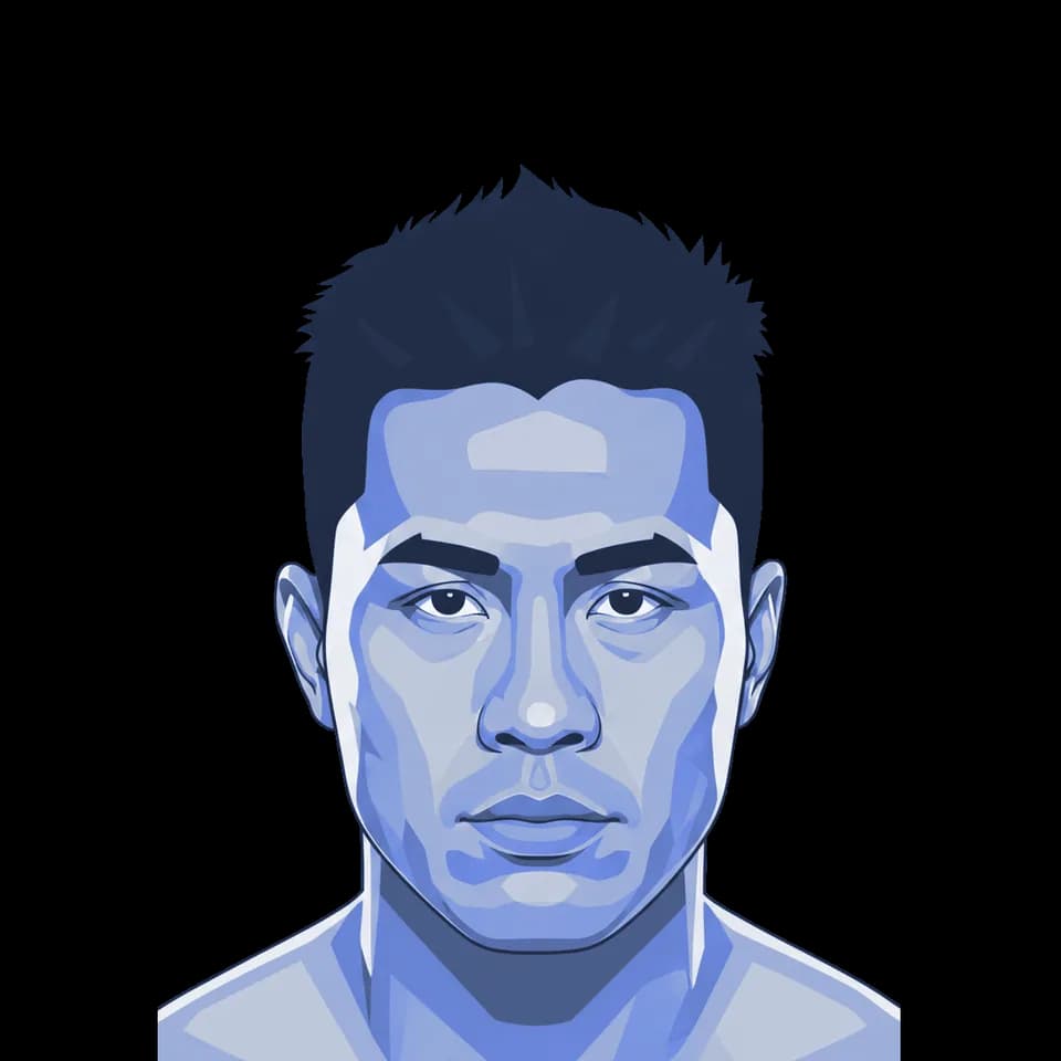 Cung Le — illustration