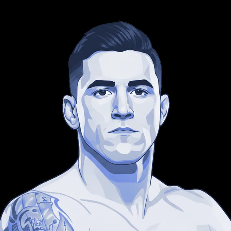 David Hošek — illustration