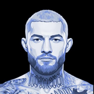 Radek Roušal — illustration