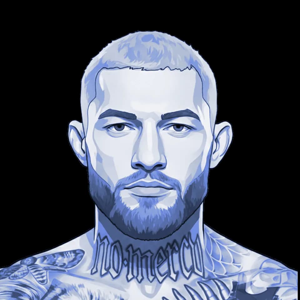 Radek Roušal — illustration