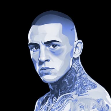 Gábor Boráros — illustration