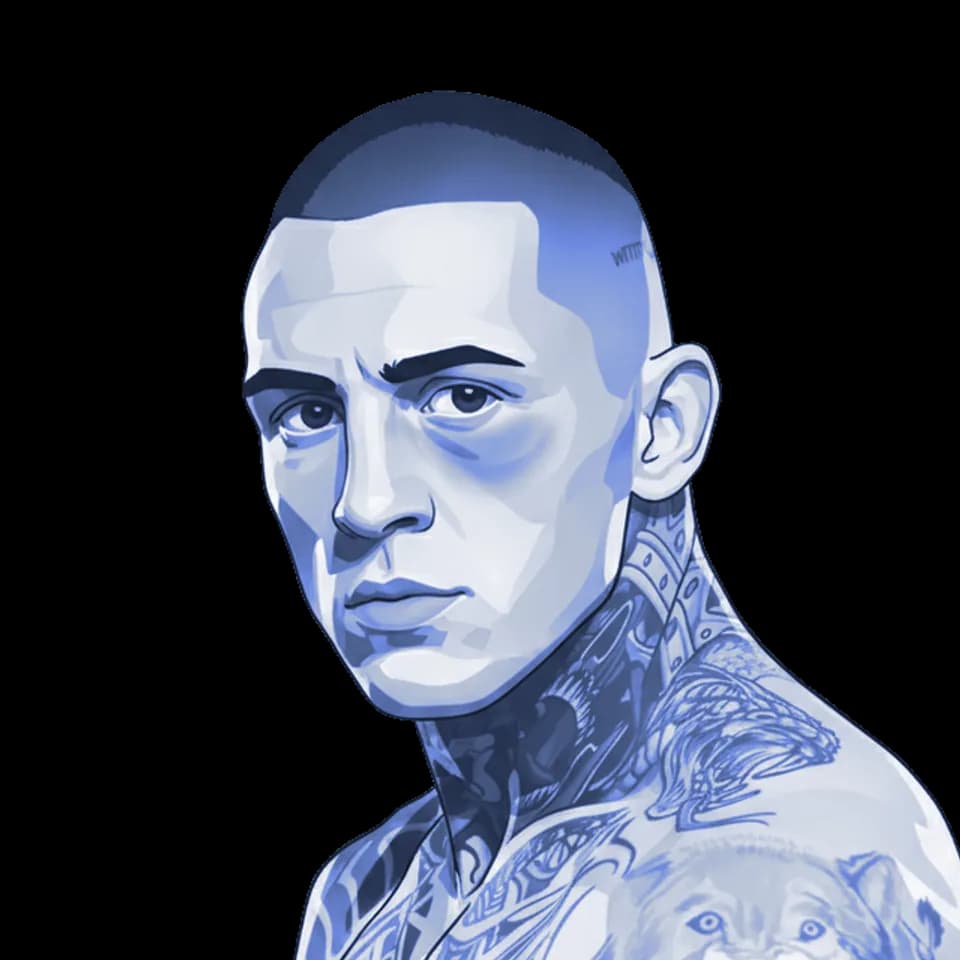 Gábor Boráros — illustration