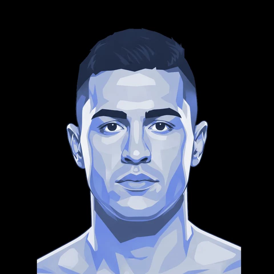 Nermin Hajdarpašić — illustration