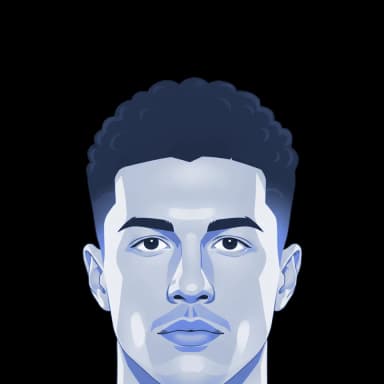 Damir Ferhatbegovic — illustration