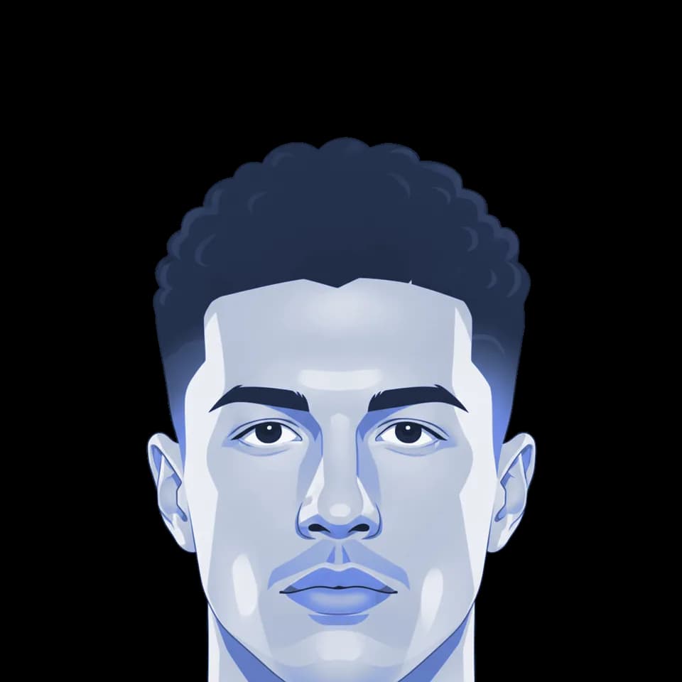 Damir Ferhatbegovic — illustration